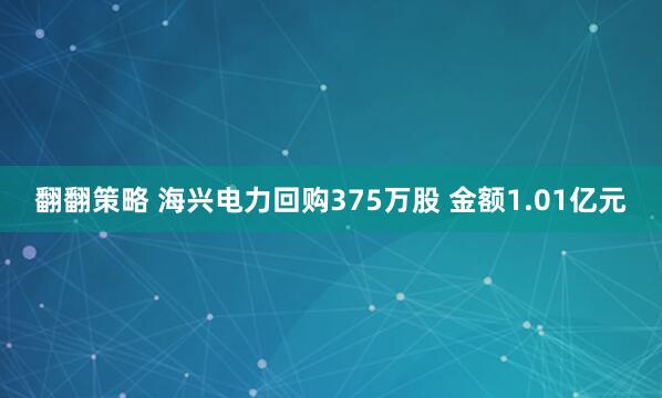 翻翻策略 海兴电力回购375万股 金额1.01亿元