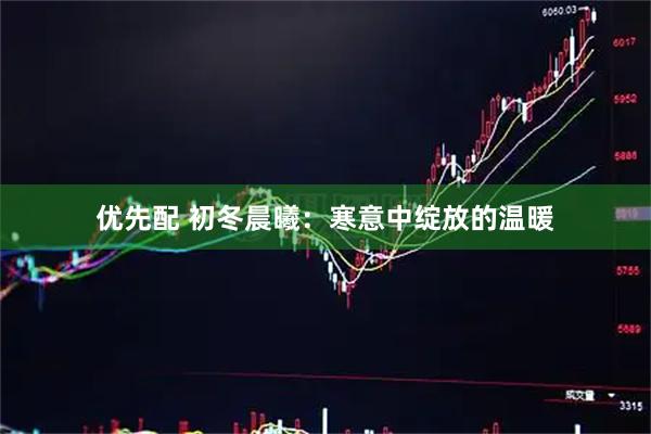 优先配 初冬晨曦：寒意中绽放的温暖